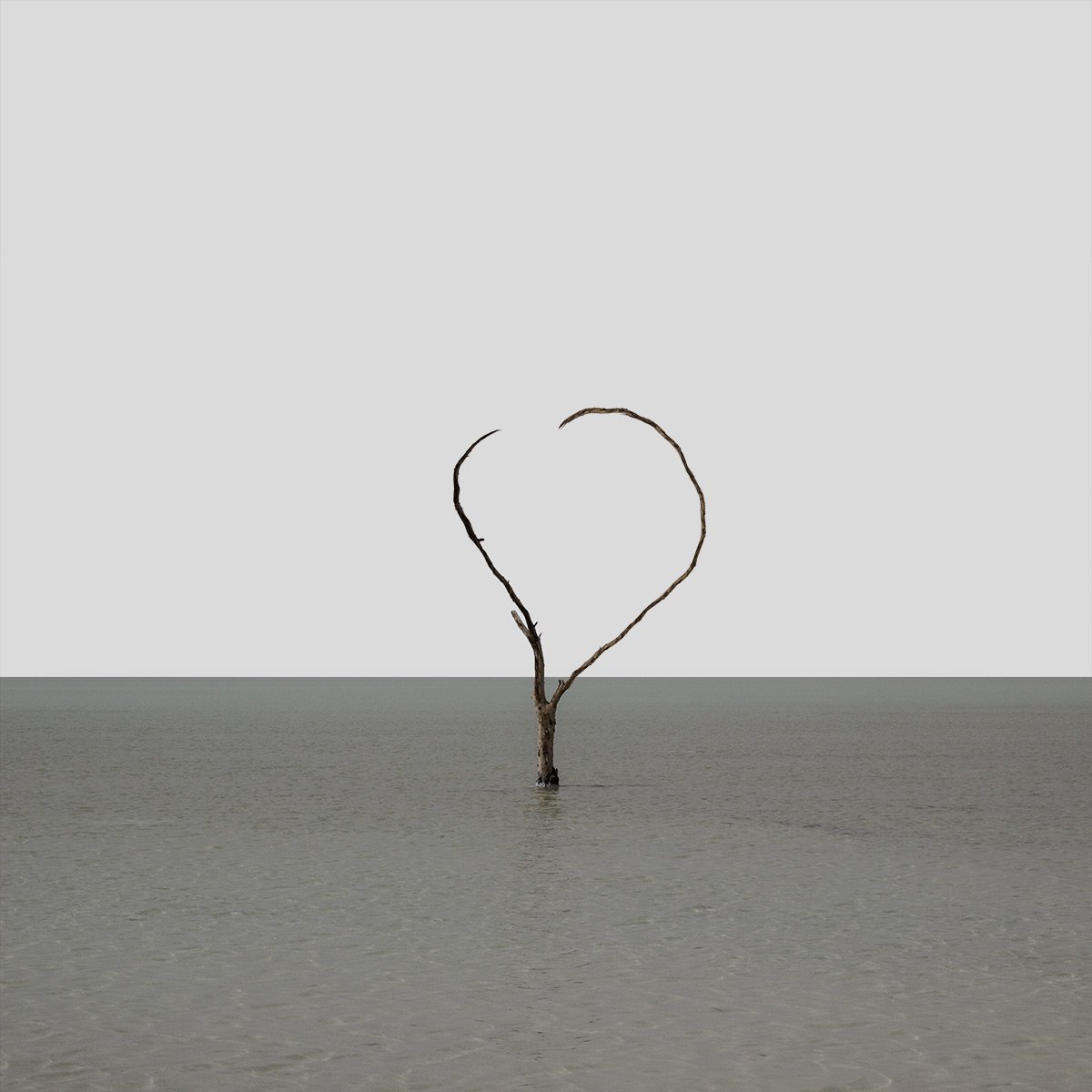 Featured minimalist print